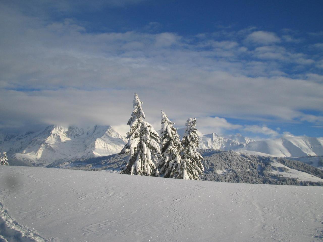 Alp-Hotel Megeve Bagian luar foto